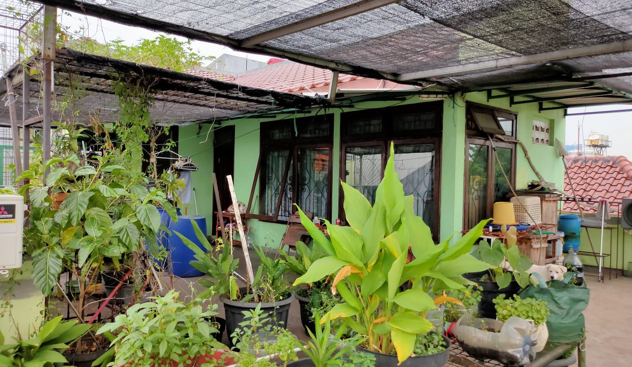 22. Lt 3 - Pandangan dari taman ke arah bangunan